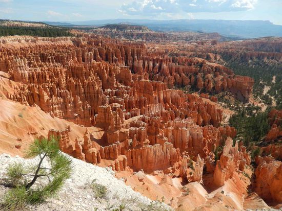 Die Felsen stehen in Reih und Glied als hätte jemand sie so aufgereiht