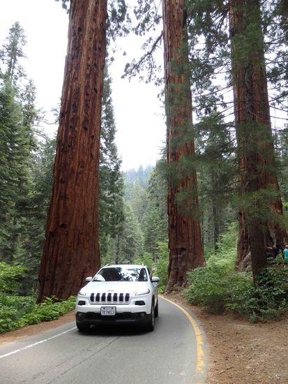 Das hat man nicht alle Tage: Durchfahrt durch zwei der Giganten