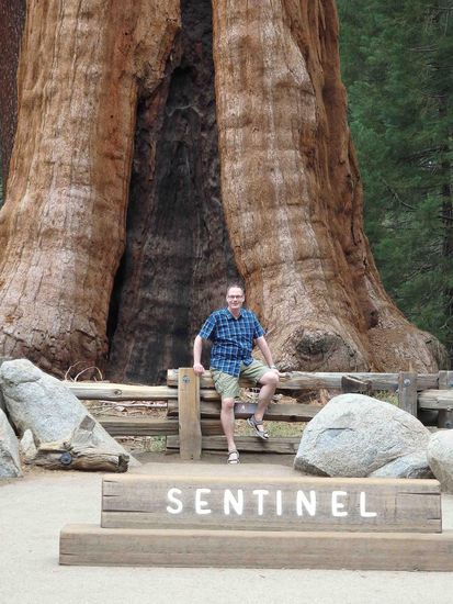 Der Sentinel steht in der Nähe des Welcome Centers.