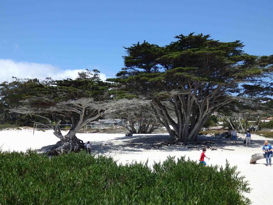 Auch das ist der Strand von Carmel - hat was von Karibik