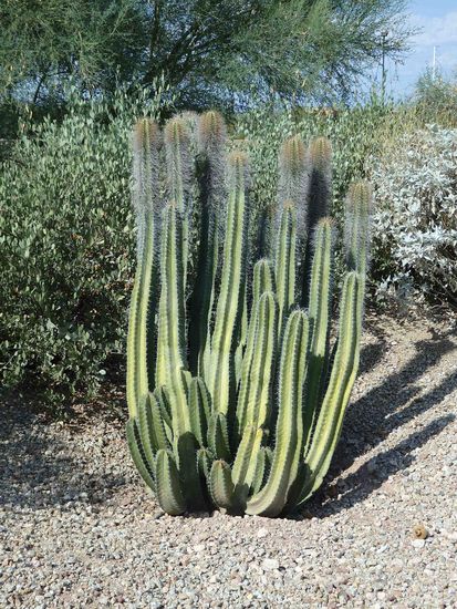 Auch kleinere Exemplare gab es zu sehen