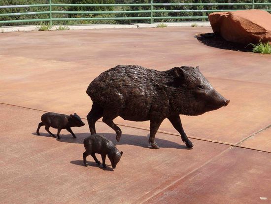 Ebenfalls "Besucher" des Visitorcenters