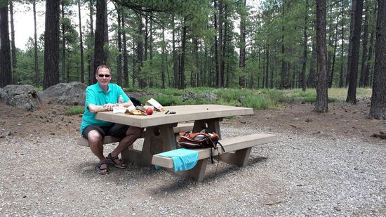 Und hier wurden wir fündig. Ein Platz im Wald für uns ganz allein.