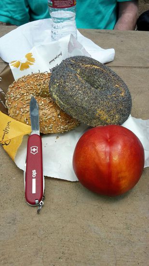 Ein sehr leckeres Mittagessen bestehend aus frisch gebackenen Bageln und super saftiger Nektarine.