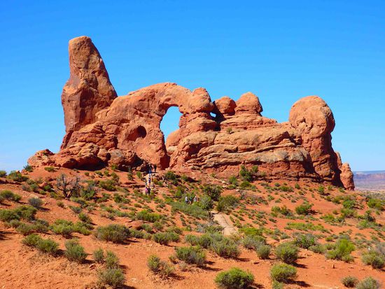 Wer sieht den Elefanten?