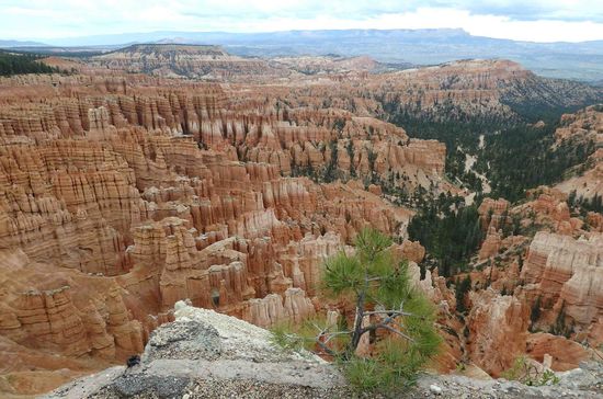 Das sogenannte Amphitheater