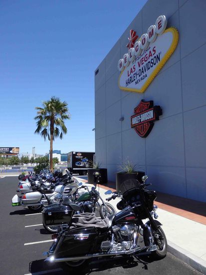 Eine kleine, feine Auswahl   