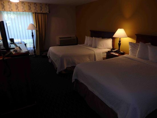 Rund 30 qm groß und nett eingerichtet.