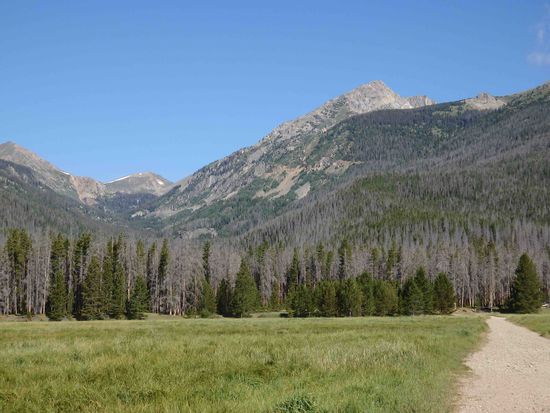 An vielen Stellen gab es mehr abgestorbene als grüne Bäume