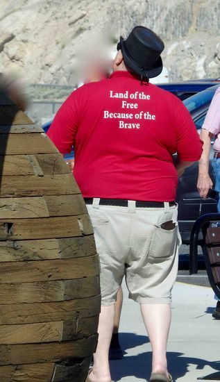 Ein amerikanischer Patriot
(Land der Freien wegen der Mutigen)