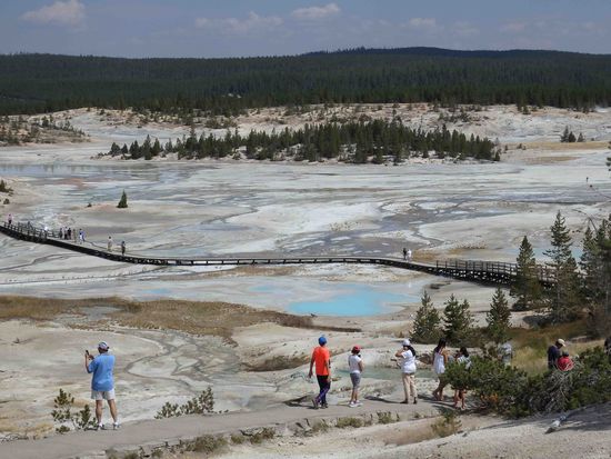 Wieder geht es über Stege durch das Gebiet