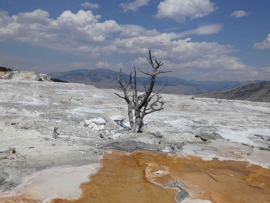 Unwirklich und kaum zu beschreiben