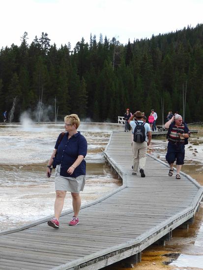 Wie immer über sichere Stege - es brodelt rundherum