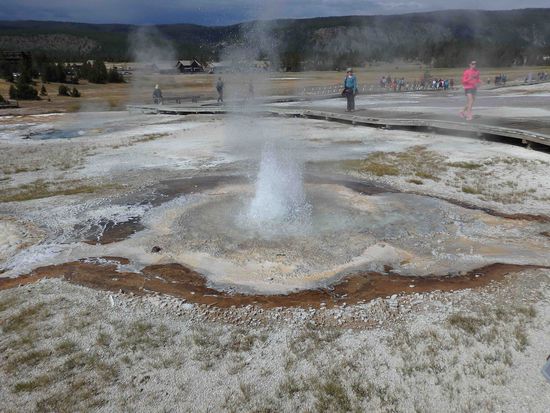 Der will noch groß werden 