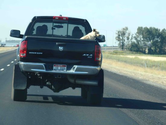 ER genoss den Fahrtwind 