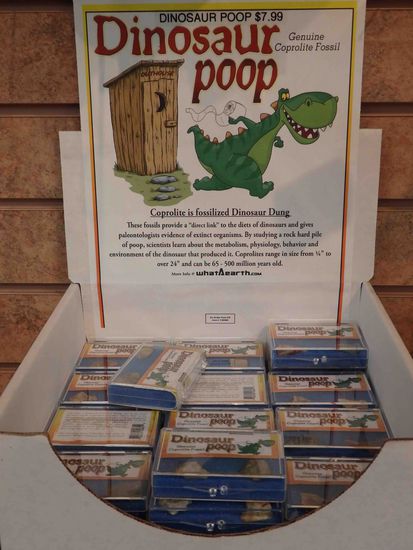 Versteinerte Hinterlassenschaft von den Dinos - ein wenig Zweifel wird erlaubt sein