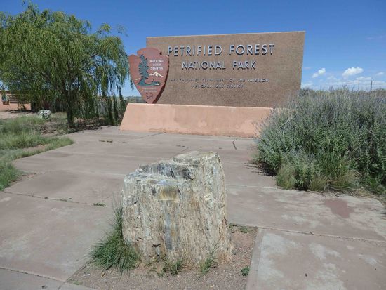 Eingang zum Nationalpark - im Vordergrund ein versteinerter Baum