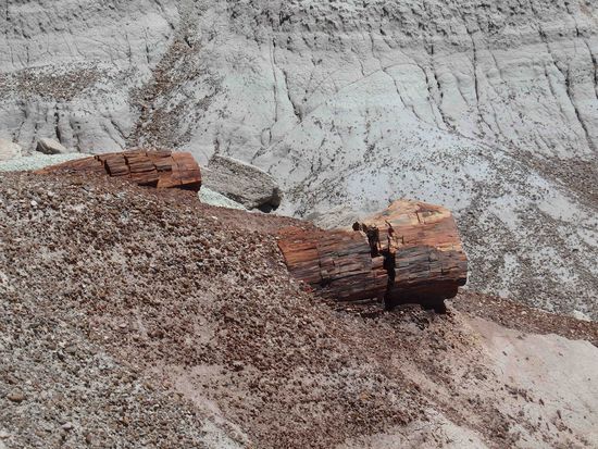 So liegen die Baumstämme verstreut im Gelände