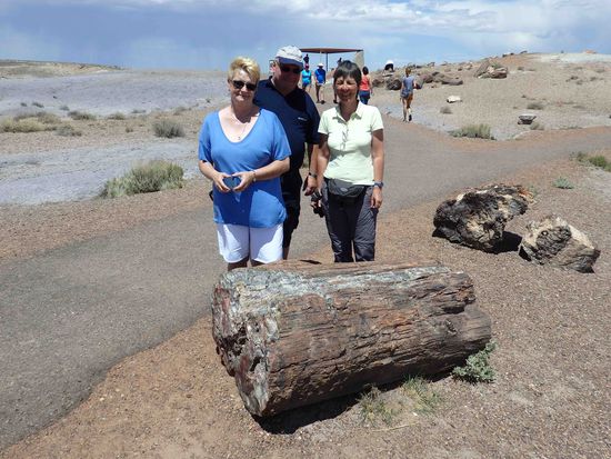 Gruppenbild mit Baum 