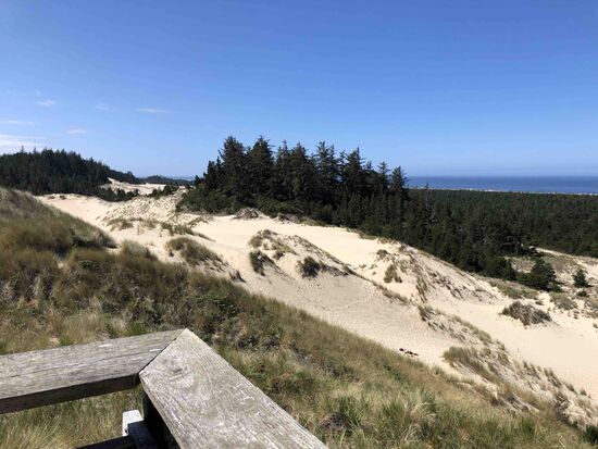 Oregon Dunes - erst hinter dem zweiten Grünstreifen liegt der Pazifik