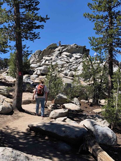 Von der Mittelstation führen verschiedene Trails/Wanderwege hinauf oder hinunter. Wir haben uns für die kürzeste Variante entschieden.......