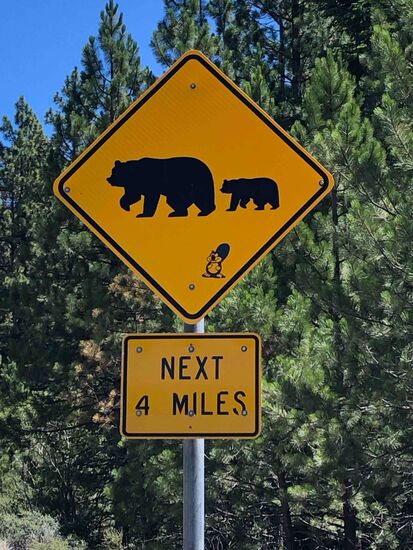 Ehrlich gesagt hätten wir aus sicherer Entfernung schon gern mal einen Bären oder auch einen Elch gesehen.