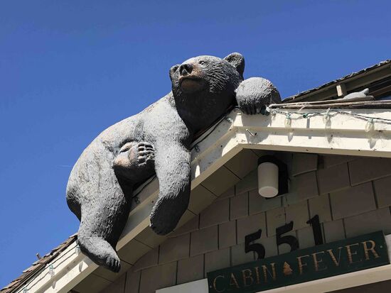 Dieses Exemplar saß über dem Eingang zu einem Geschäft.