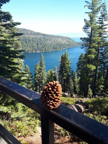 Wo es möglich war, haben wir angehalten und die Natur genossen.