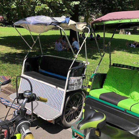 Man kann sich auch per Rikscha durch den Park fahren lassen, wenn man bereit ist DIESEN Preis zu zahlen     3$ pro Minute