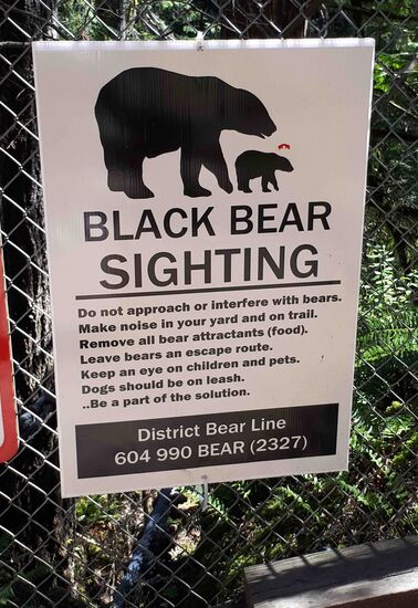 Zum Glück ist uns keiner begegnet.