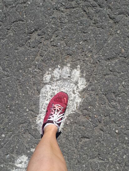 Interessanter Größenvergleich