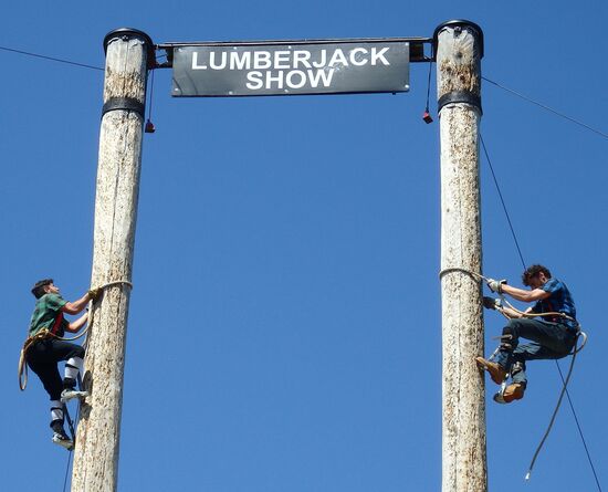 Diese Bäume sind 34 m hoch und die Männer kletterten im Wettkampf mit wahnsinniger Geschwindigkeit rauf und runter. 