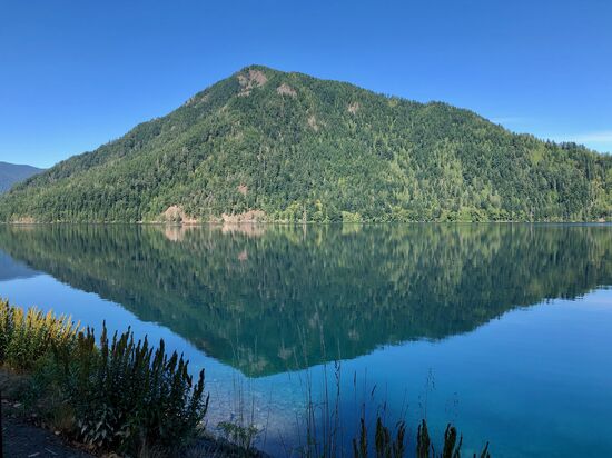 Perfektes Spiegelbild