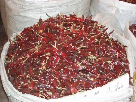 Chili!!! Ein wichtiger Bestandteil der Koreanischen Küche..