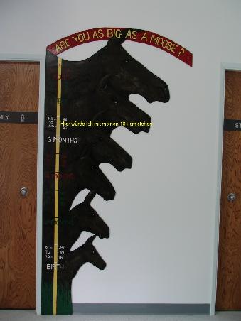 Ein kleines Beispiel!
Das gelbe, ist leider nicht zu lesen, gibt aber meine 161 cm an.
