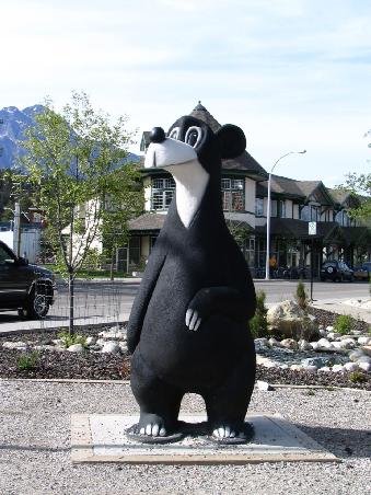 Der Jasper Bär !