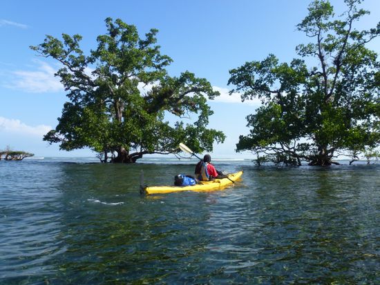 Wir verlassen den Küstenbereich und steuern in Richtung offenes Meer.