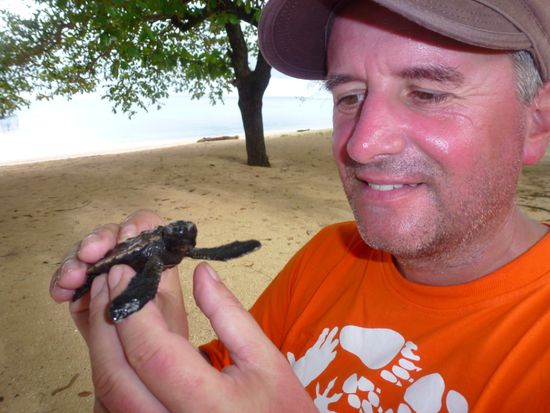 Auf der Insel Siladen setzt man sich sehr stark für den Schutz der Meeresschildkröten ein.