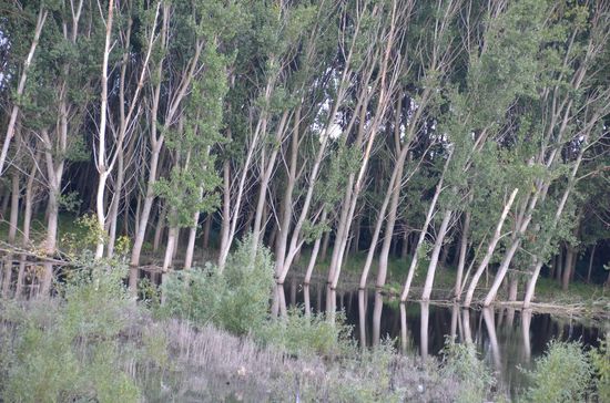 Wie immer hier, traumhafte Landschaften