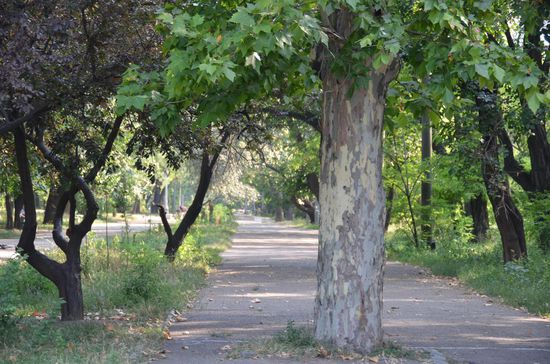 Im Park zwischen Stadion und Meer... Ruheoase inmitten der großen Stadt!