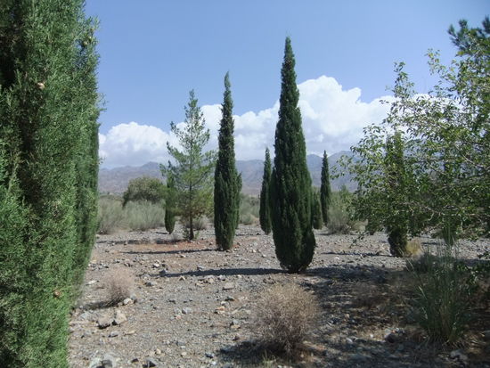 Iran - Parkähnliche Landschaft in 2000 m Höhe zwischen Jiroft und Bam