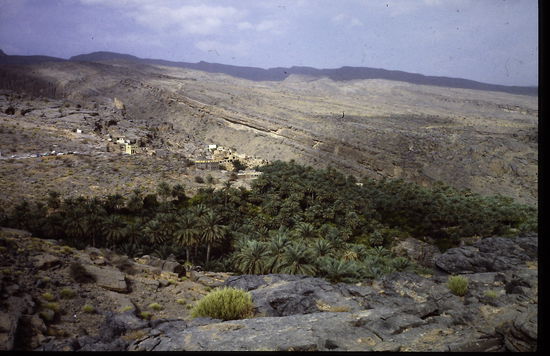 Oman - Jabal Akhdar