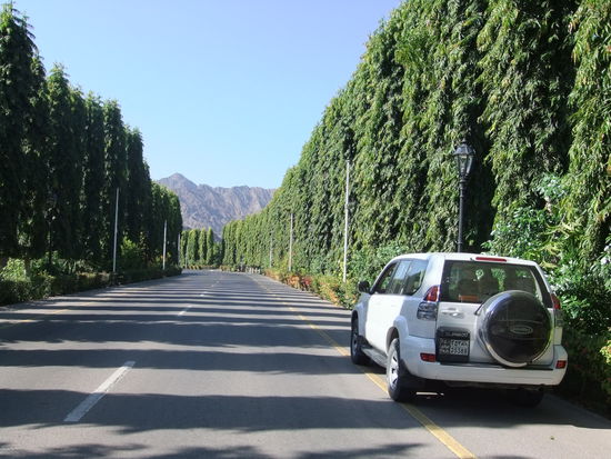 Oman - Muscat - Zufahrtsstraße zum Bustan Hotel