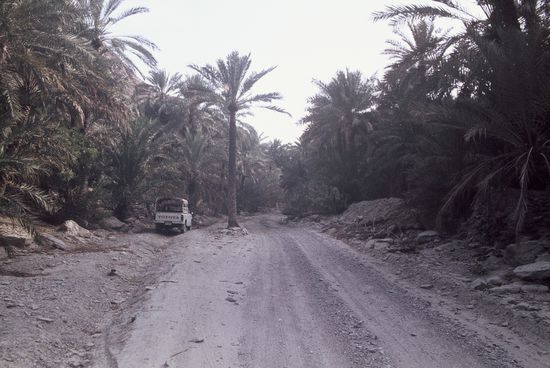 VAE - Zwischen Dibba und Musafah - Wadi Tayyibah
