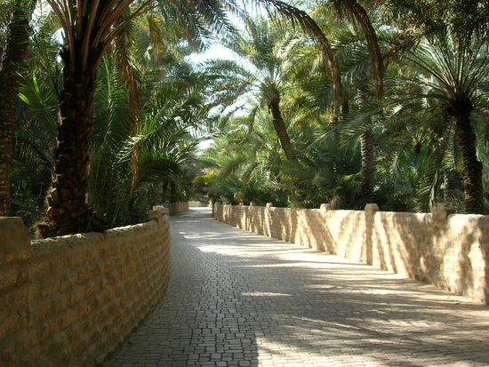 VAE - Al Ain - In der Oase