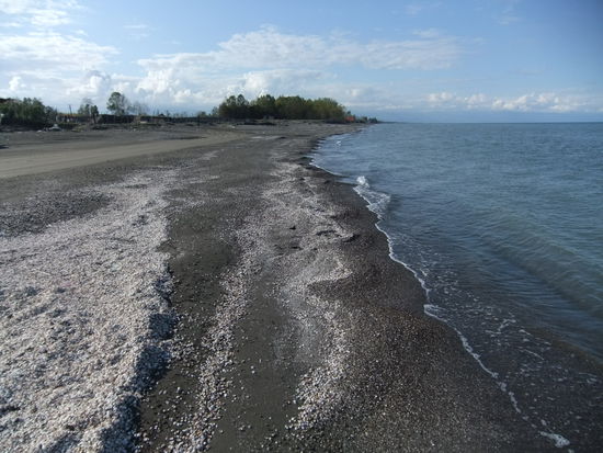 Iran - Zwischen Chalus und Ramsar - Das Kaspische Meer