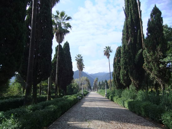 Iran - Ramsar - Palmyra Palmen Allee zwischen Casino und Palast