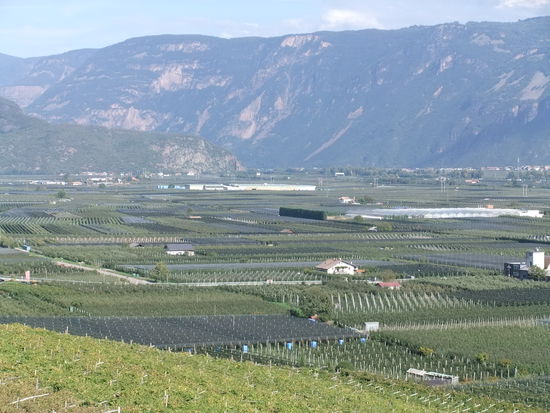 Italien - Zwischen Neumarkt-Auer und Paneveggio