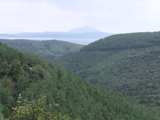 Griechenland - Halkidiki - Typische Landschaft mit Berg Athos