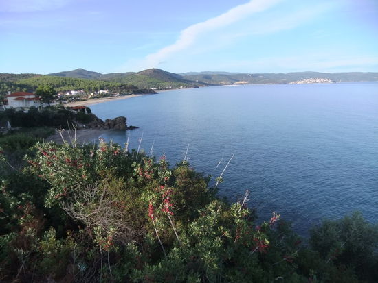 Griechenland - Halkidiki - Typische Küstenlandschaft